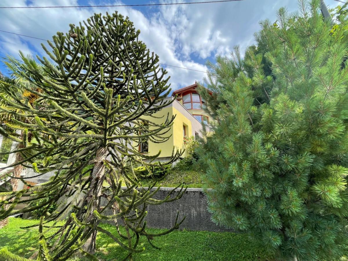 Apartma 7 - In The Heart Of Soca Valley Tolmin Exterior foto